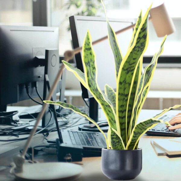 artificial-snake-plant-600x600